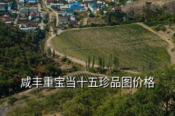 咸豐重寶當(dāng)十五珍品圖價格