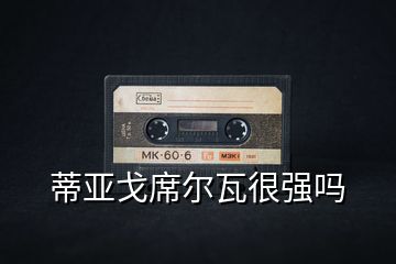 蒂亞戈席爾瓦很強(qiáng)嗎