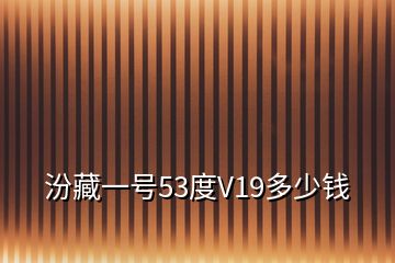 汾藏一號53度V19多少錢