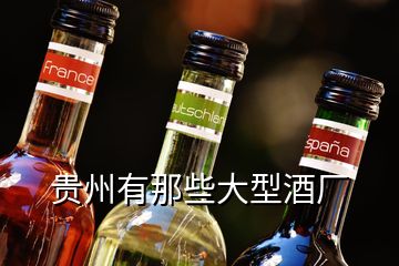 貴州有那些大型酒廠(chǎng)