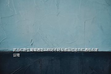 武當(dāng)紅野生葡萄酒怎么樣好不好有誰品過這個紅酒給點建議哦