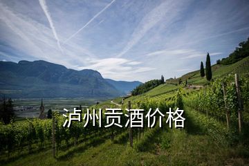 瀘州貢酒價(jià)格