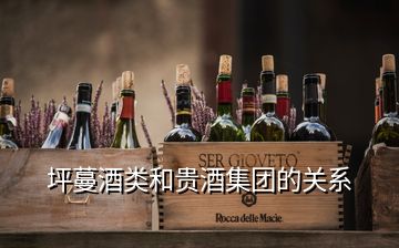 坪蔓酒類(lèi)和貴酒集團(tuán)的關(guān)系