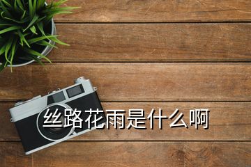 絲路花雨是什么啊