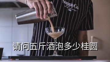 請問五斤酒泡多少桂圓
