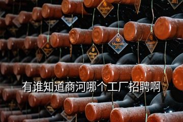 有誰(shuí)知道商河哪個(gè)工廠招聘啊