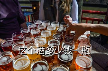 這個(gè)酒多少錢(qián)一瓶