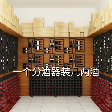 一個(gè)分酒器裝幾兩酒