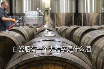 白瓷瓶有一個大酒字是什么酒