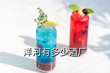 洋河有多少酒廠(chǎng)