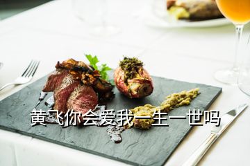 黃飛你會(huì)愛我一生一世嗎