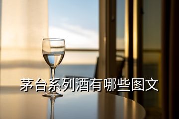 茅臺(tái)系列酒有哪些圖文