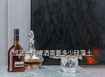 過(guò)濾一噸啤酒需要多少硅藻土
