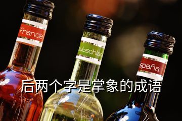 后兩個(gè)字是掌象的成語