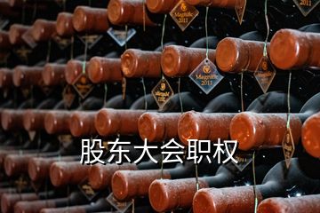 股東大會(huì)職權(quán)
