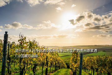 請問貴州上匠傳說酒業(yè)股份有限公司生產(chǎn)的貴州原漿酒T12國藏珍品級