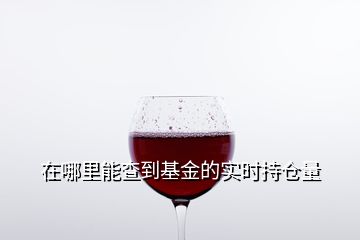 在哪里能查到基金的實(shí)時持倉量