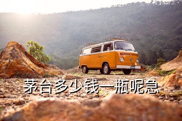 茅臺多少錢一瓶呢急