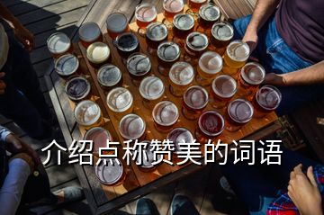  介紹點(diǎn)稱贊美的詞語(yǔ)
