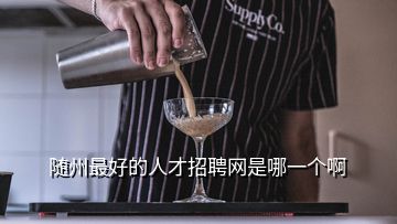 隨州最好的人才招聘網(wǎng)是哪一個啊