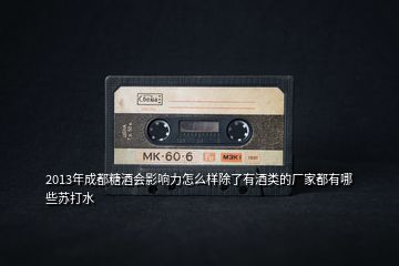 2013年成都糖酒會影響力怎么樣除了有酒類的廠家都有哪些蘇打水