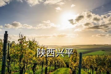陜西興平