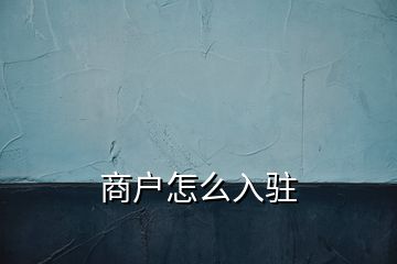 商戶(hù)怎么入駐