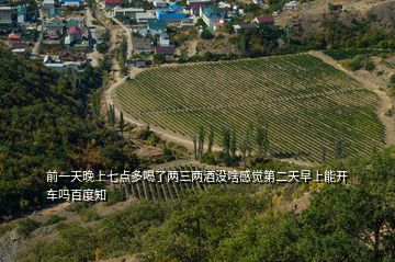 前一天晚上七點(diǎn)多喝了兩三兩酒沒啥感覺第二天早上能開車嗎百度知