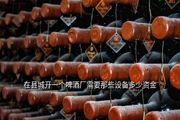 在縣城開一個啤酒廠需要那些設備多少資金