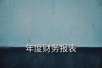 年度財務(wù)報表
