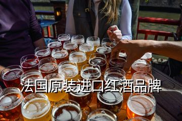 法國原裝進(jìn)口紅酒品牌