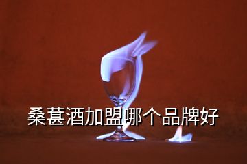 桑葚酒加盟哪個品牌好