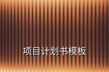 項(xiàng)目計劃書模板