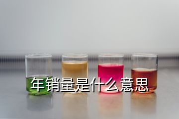 年銷(xiāo)量是什么意思