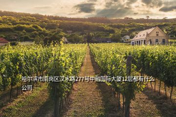 哈爾濱市南崗區(qū)漢水路277號(hào)中融國(guó)際大廈12層都有什么公司