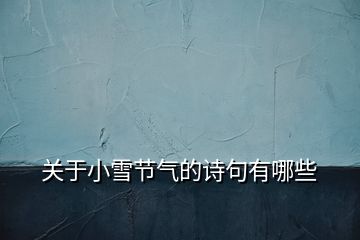 關(guān)于小雪節(jié)氣的詩(shī)句有哪些