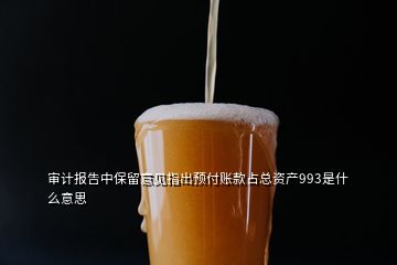 審計報告中保留意見指出預(yù)付賬款占總資產(chǎn)993是什么意思
