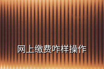 網(wǎng)上繳費咋樣操作