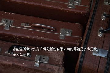 誰能告訴我永安財(cái)產(chǎn)保險(xiǎn)股份有限公司的郵箱是多少是北京分公司的