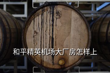 和平精英機場大廠房怎樣上