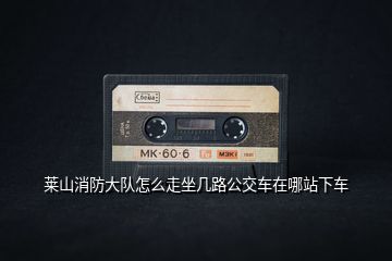 萊山消防大隊(duì)怎么走坐幾路公交車在哪站下車