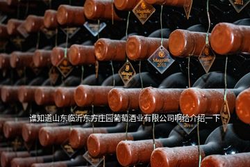 誰(shuí)知道山東臨沂東方莊園葡萄酒業(yè)有限公司啊給介紹一下