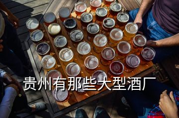 貴州有那些大型酒廠(chǎng)
