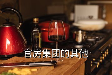 官房集團(tuán)的其他
