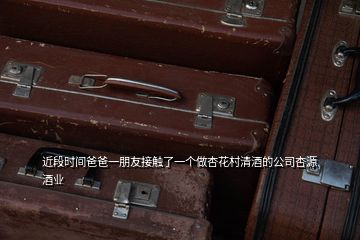 近段時(shí)間爸爸一朋友接觸了一個(gè)做杏花村清酒的公司杏源酒業(yè)
