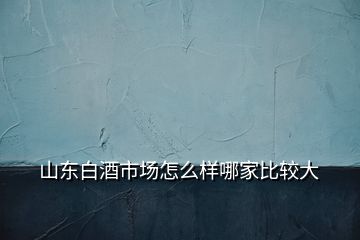 山東白酒市場(chǎng)怎么樣哪家比較大