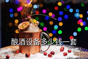 釀酒設(shè)備多少錢(qián)一套