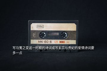 寫馬嵬之變這一時期的詩詞或?qū)懶谂c貴妃的愛情詩詞要多一點