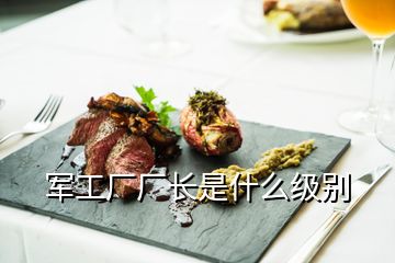 軍工廠廠長是什么級(jí)別