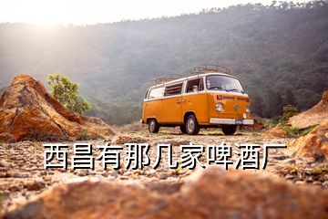 西昌有那幾家啤酒廠(chǎng)